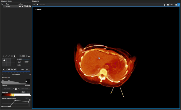 Visualization animation